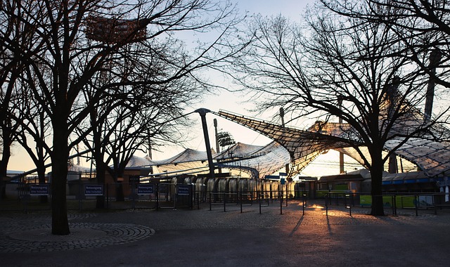 安排引发了 安排引发了