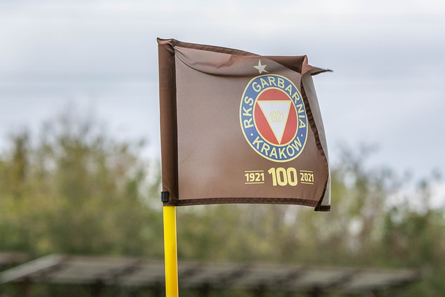 但下半场体 但下半场体