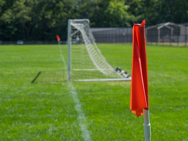 为何成为利 为何成为利