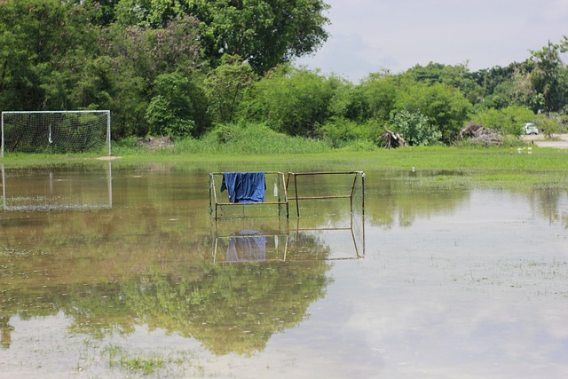 他在此崭露 他在此崭露